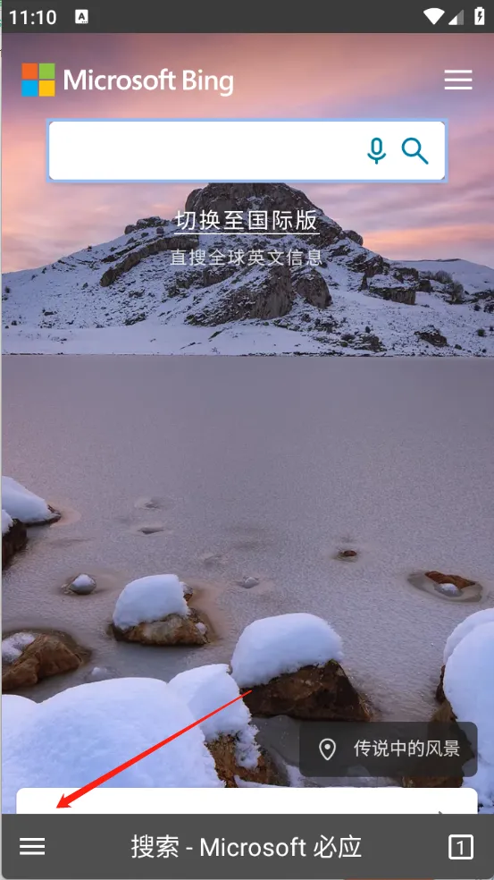 蓝光浏览器(网络浏览工具) 蓝光浏览器(网络浏览工具)