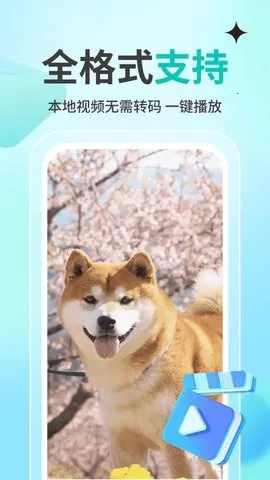 ˽�˹�Ӱ������player(����Ӱ����)v1.1.4 ��׿���ͼ