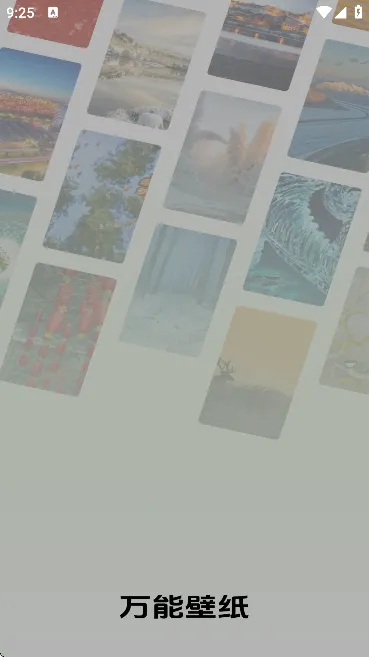万能壁纸2025最新版本 万能壁纸2025最新版本