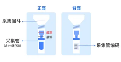 基因宝2025下载安装 基因宝2025下载安装