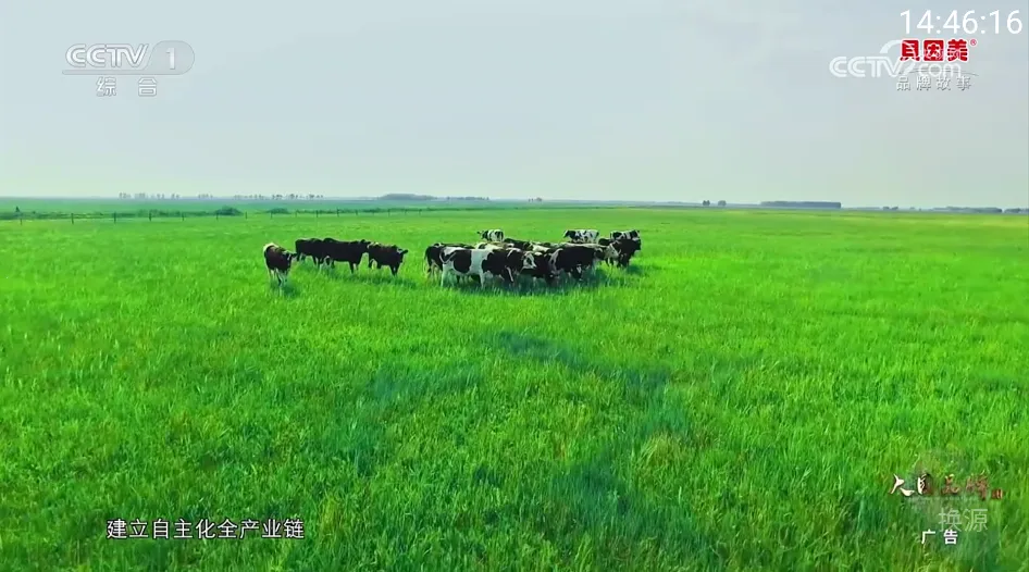 你的电视2025下载安装 你的电视2025下载安装