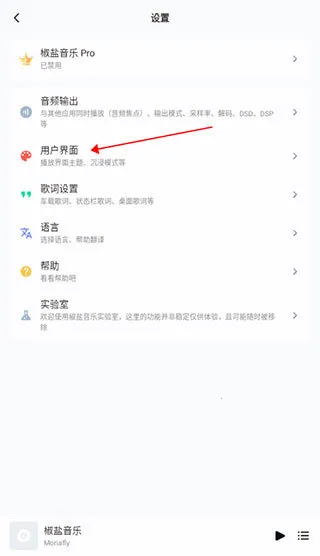 椒盐音乐(音乐播放软件) 椒盐音乐(音乐播放软件)