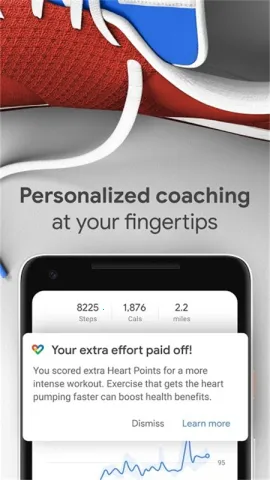 �ȸ轡��2025���°汾