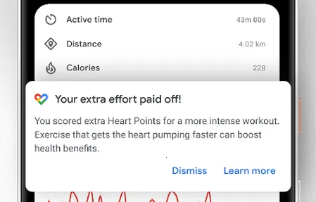 �ȸ轡��2025���°汾