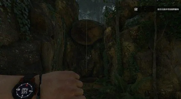 绿色地狱最新手机版 绿色地狱最新手机版