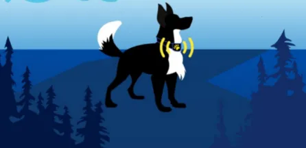 卫安宝最新手机版 卫安宝最新手机版