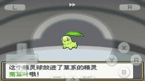 �ڴ������Ľ����(������ð����Ϸ)v3.0 �ֻ����ͼ