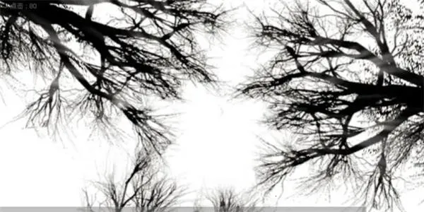 �����������(ð�ս�����Ϸ)