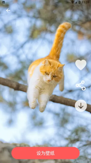 ͼ���ֽ��(�ֻ���������)v4.2.78 ��Ѱ��ͼ