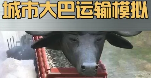 城市大巴运输模拟(模拟驾驶游戏) 城市大巴运输模拟(模拟驾驶游戏)