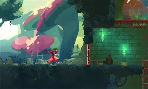 ����ϸ��(��涯����Ϸ)