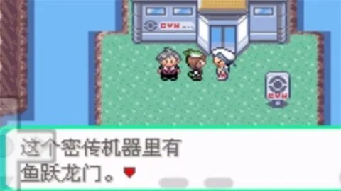 �ڴ����ְ׽��2025�ٷ����°汾