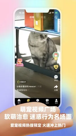 Ƥ�˷�(�������Ƶ����)v3.17.2 �ֻ����ͼ