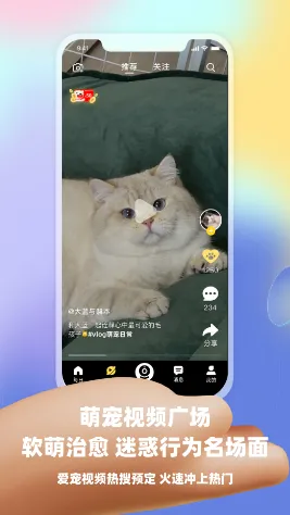 Ƥ�˷�(�������Ƶ����)