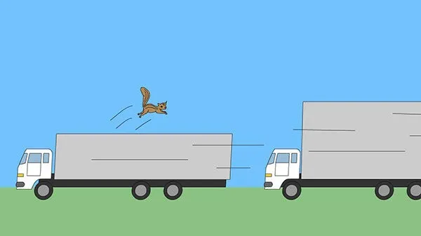 è����2025���ذ�װv1.0.12 �ٷ������ͼ