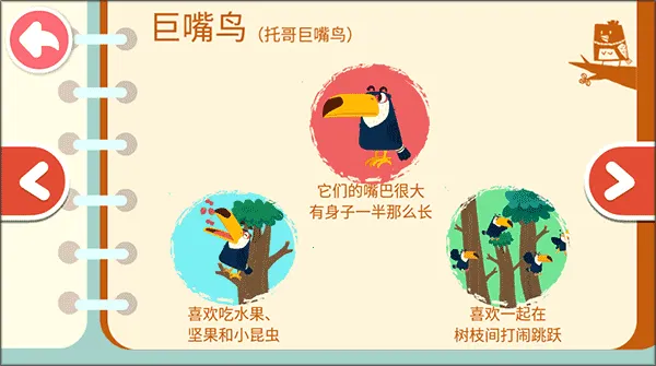 宝宝鸟类认知2025最新版本 宝宝鸟类认知2025最新版本
