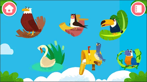 宝宝鸟类认知2025最新版本 宝宝鸟类认知2025最新版本