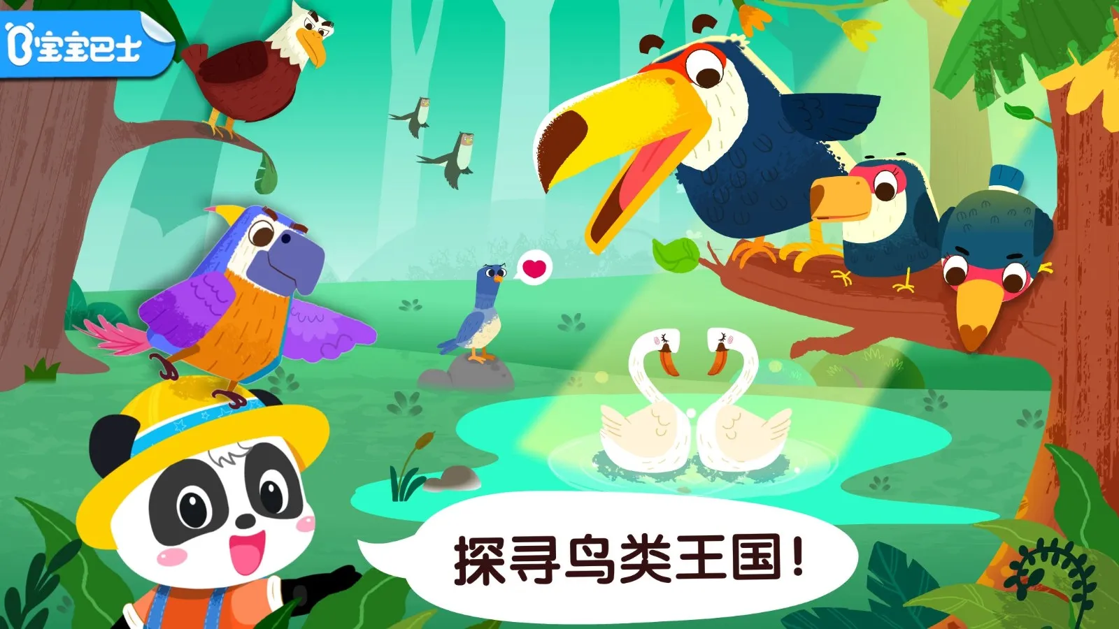 宝宝鸟类认知2025最新版本 宝宝鸟类认知2025最新版本