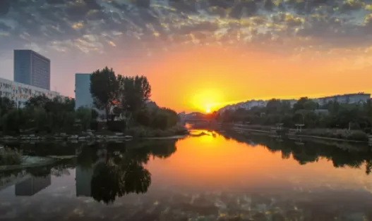 �����������ֻ���