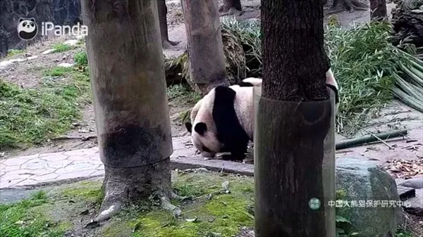 看电视呗安卓版手机版 看电视呗安卓版手机版