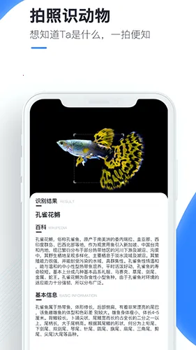 �ٿ�ɨ����2026�ٷ����°汾