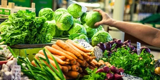 小马鲜鲜2026官方正版 小马鲜鲜2026官方正版