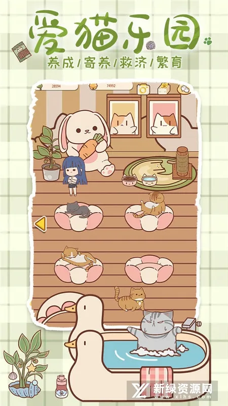 喵呜开门2026下载安装 喵呜开门2026下载安装