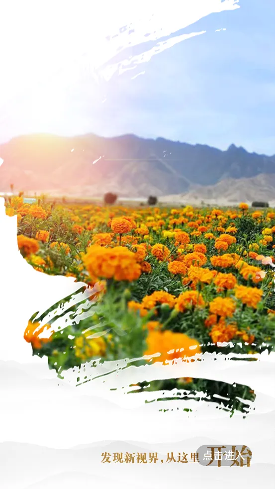 �۽�����2026���°汾v1.0.0 ��Ѱ��ͼ