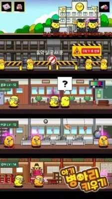 饲养小鸡 饲养小鸡