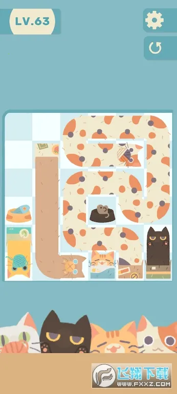 管道猫咪 管道猫咪