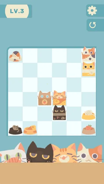 管道猫咪 管道猫咪