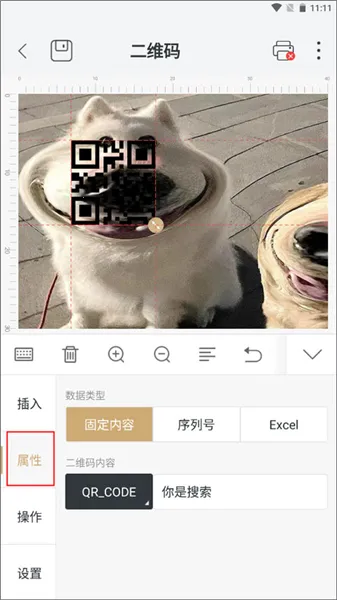 ������ӡ