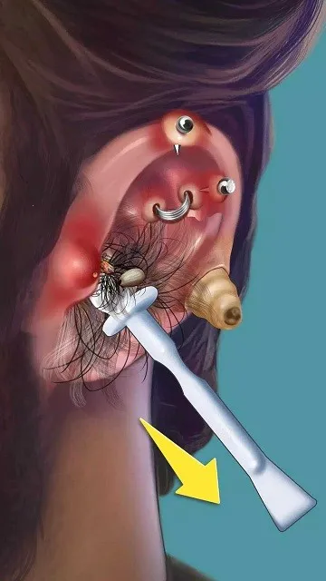 ASMR����ˮ�Ƹ���