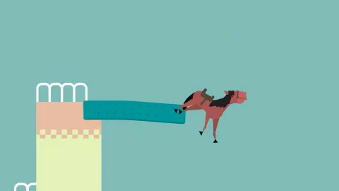 ����Կɸ߶���v1.9 �ٷ������ͼ