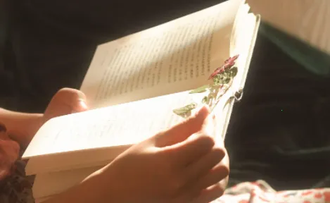 春华小说安卓版手机版 春华小说安卓版手机版