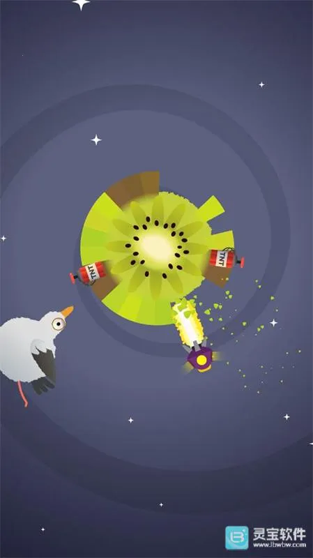 疯狂的鸽子 疯狂的鸽子