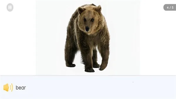 �Ķ���ð��2026���ذ�װv1.13.5 ��׿���ͼ