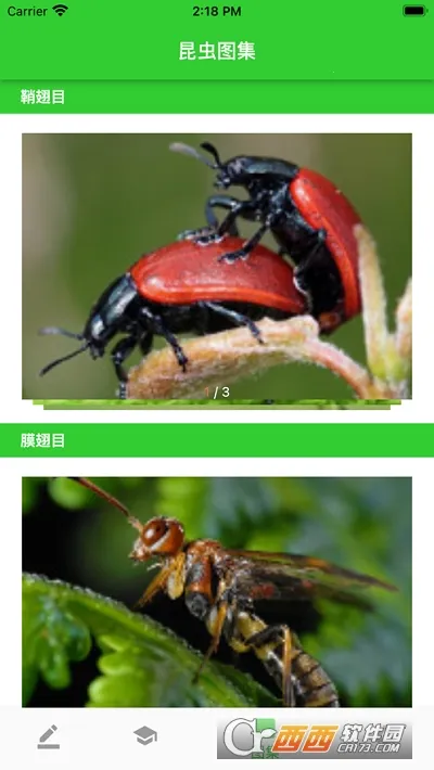 ���v1.1 �ֻ����ͼ