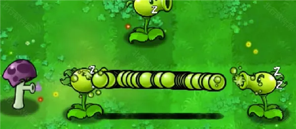 植物大战僵尸胆小菇之梦2026下载安装 植物大战僵尸胆小菇之梦2026下载安装