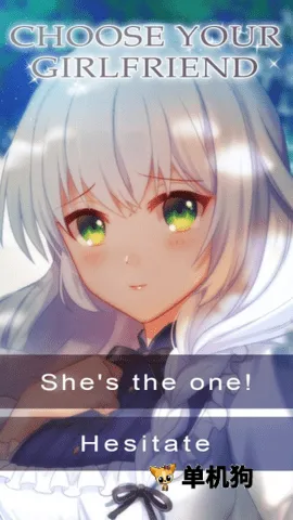 我的动物女友 我的动物女友