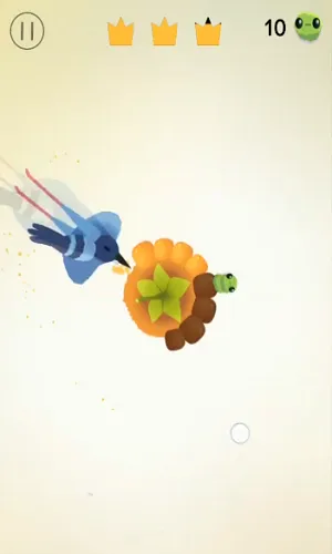 疯狂的鸽子pigeonpop2026官方正版 疯狂的鸽子pigeonpop2026官方正版