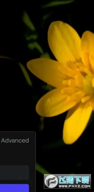 ��ӯ���v1.0.2 ��׿���ͼ