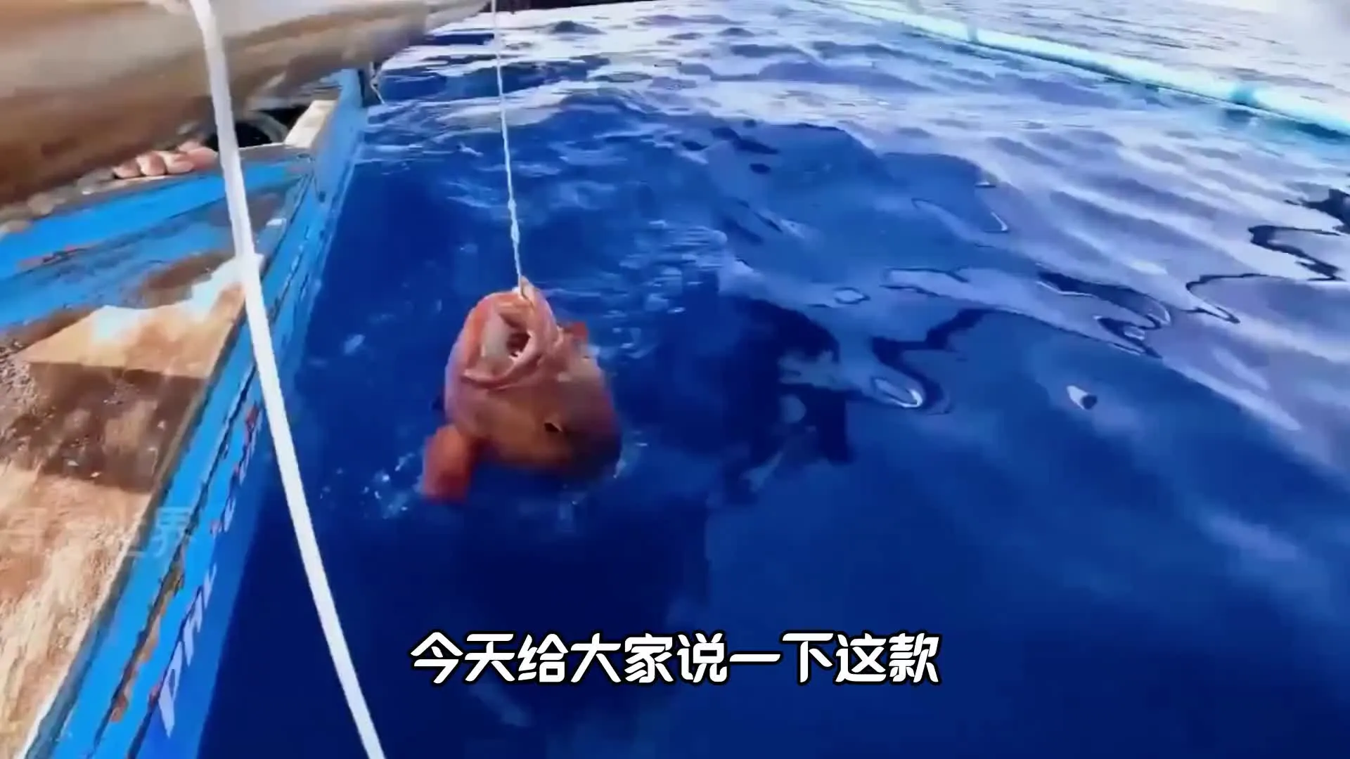 �����ʦ��v1.0 ��׿���ͼ