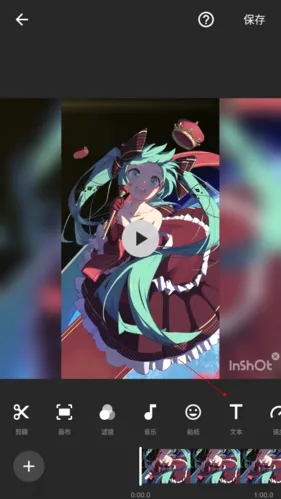 lnShot(��Ƶ�༭����)