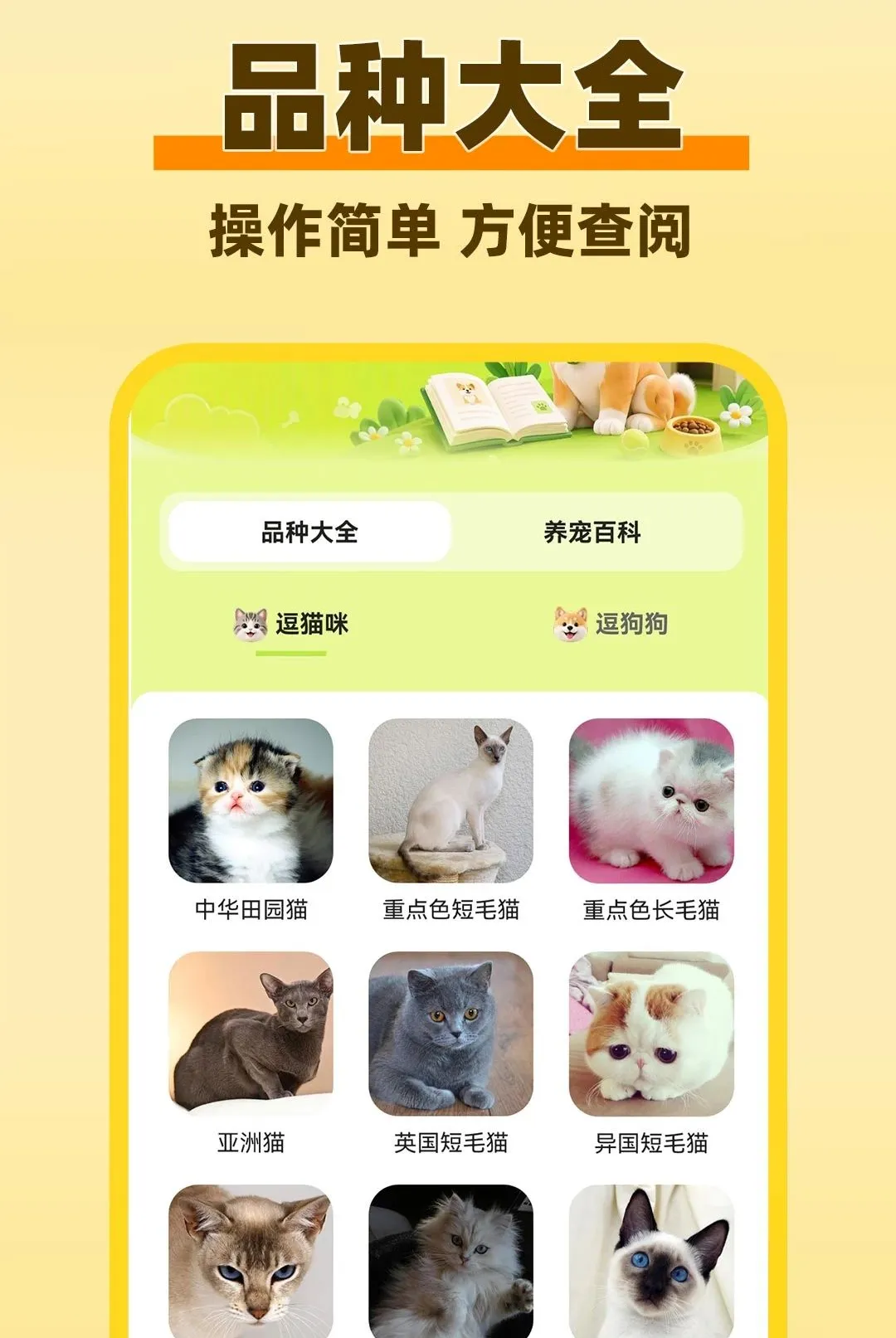è���������Է�����2026���°汾v1.0.1 �ٷ������ͼ