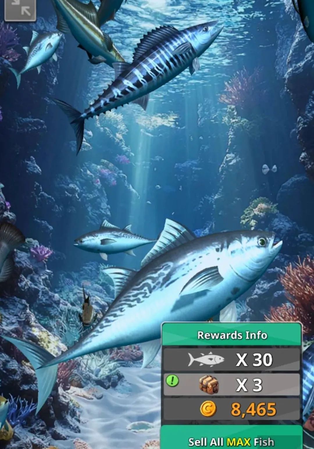 �������2����Ǯ�������ֻ���v1.0.5 �ٷ������ͼ