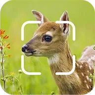 TrailCam Go2026���°汾