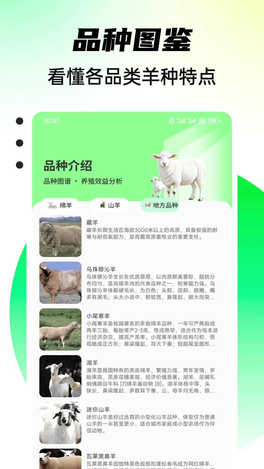 С����������v1.0.4 �ٷ������ͼ