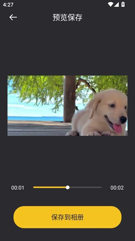 ����˿4k