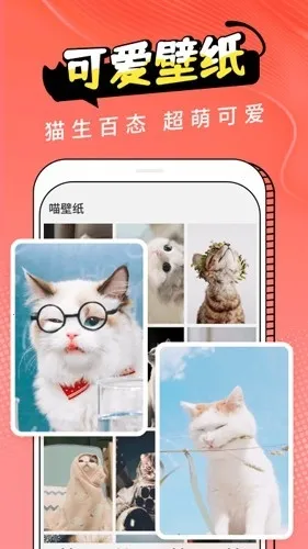 Cat Translation2026���°汾v3.1.5 �ٷ������ͼ